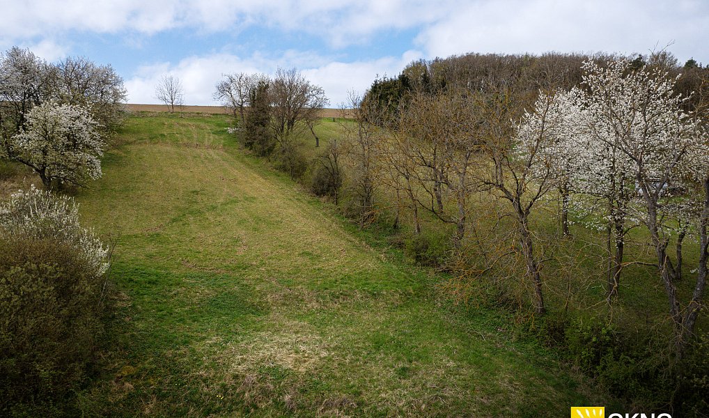 Prodej stavebního pozemku 1 748 m², Senice na Hané – náhled fotky 6