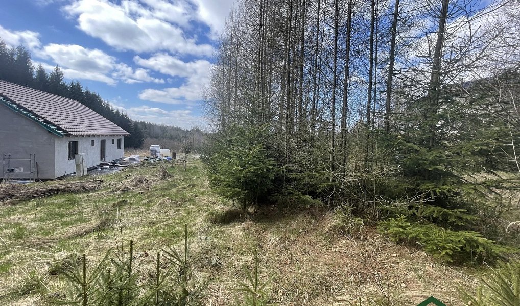 Prodej domu 90 m² s pozemkem 1 753 m², Gruna – náhled fotky 7