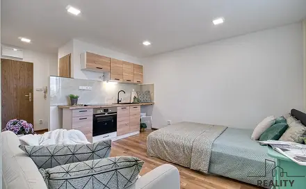 Pronájem bytu 1+kk 20 m², Prameny, Karviná - Ráj
