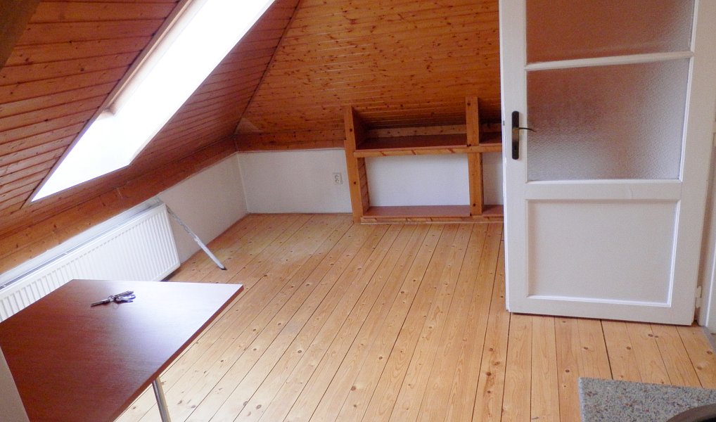 Pronájem bytu 1+1 38 m², Praha – náhled fotky 4