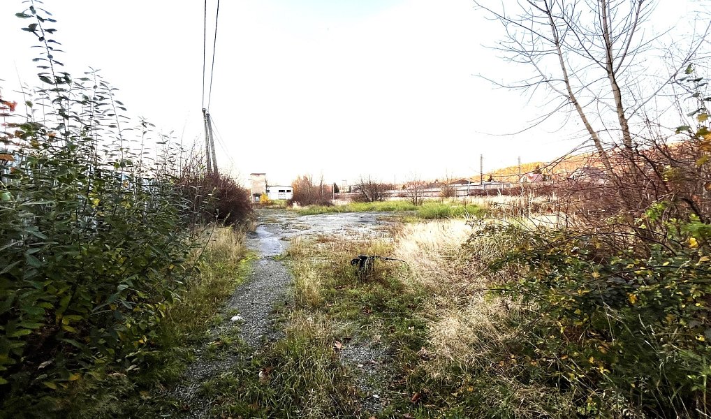 Pronájem komerčního pozemku 6 544 m², Třinec – náhled fotky 5