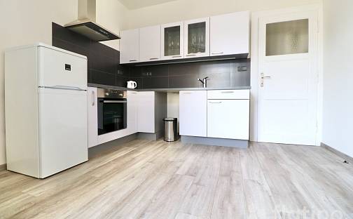 Prodej bytu 1+1 41 m², Chrudimská, Praha 3 - Vinohrady