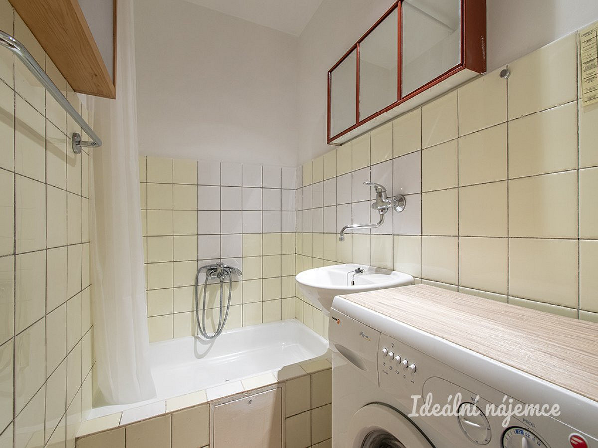 Pronájem bytu 1+1 32 m² – fotografie 5