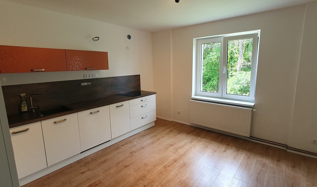 Pronájem domu 150 m², Zabrušany – náhled fotky 3