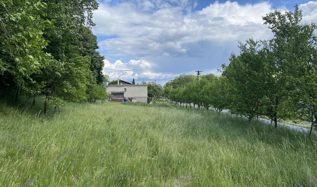 Prodej stavebního pozemku 1 467 m², Břestek – náhled fotky 2
