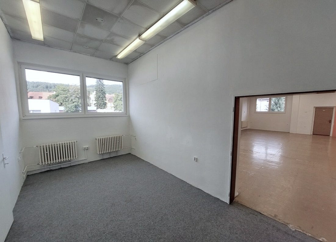 Pronájem obchodních prostor 193 m² – fotografie 3