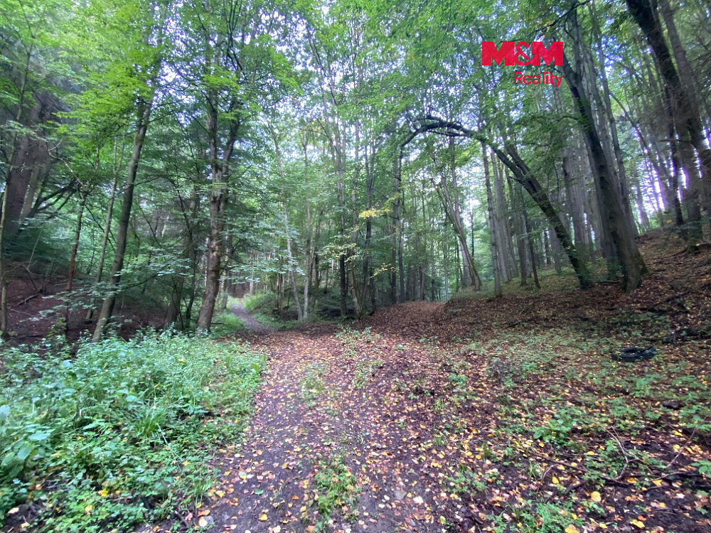 Prodej louky 2 261 m²