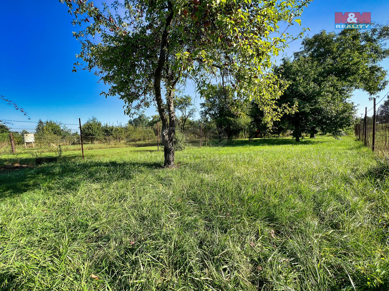 Prodej domu 250 m² s pozemkem 1 268 m² – další