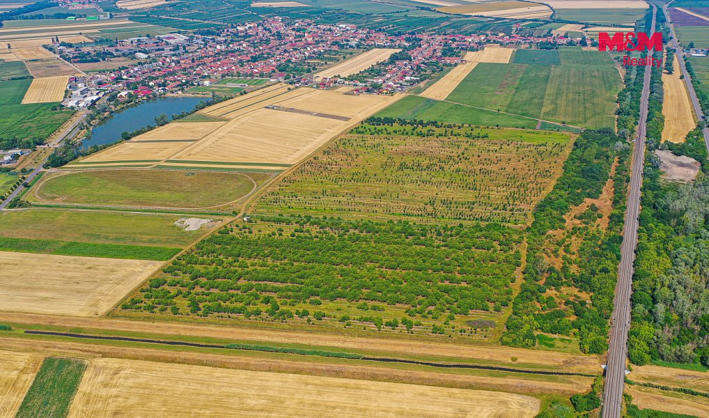 Prodej pole 12 442 m², Rakvice – náhled fotky 8