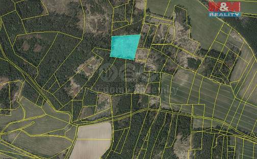 Prodej lesa 11 506 m², Milejovice, okres Strakonice