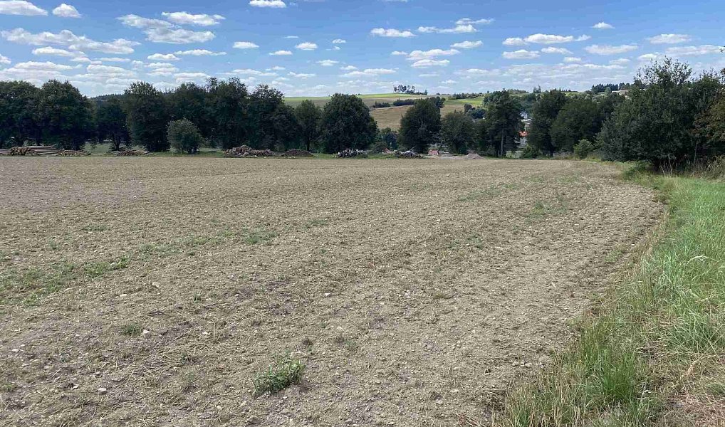 Prodej komerčního pozemku 11 096 m², Česká Bělá – náhled fotky 2