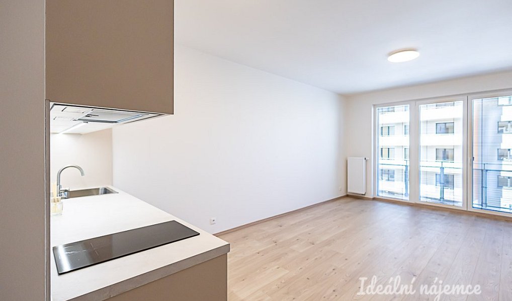Pronájem bytu 1+kk 35 m², Praha – náhled fotky 4