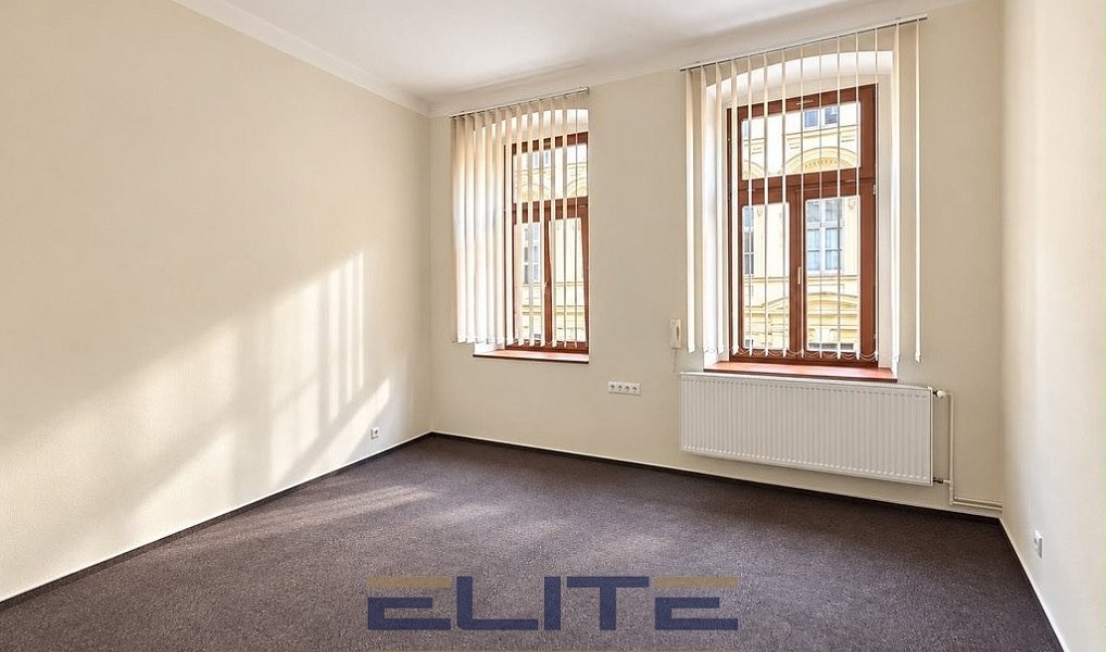 Pronájem bytu 2+1 35 m², Liberec – náhled fotky 8