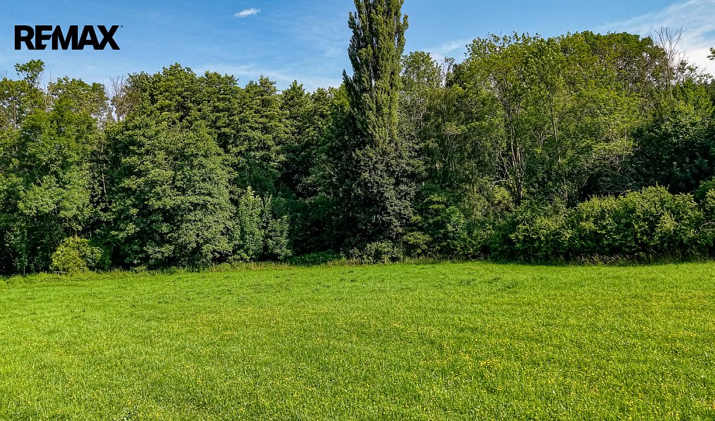 Prodej louky 36 931 m², Mírová pod Kozákovem – náhled fotky 9