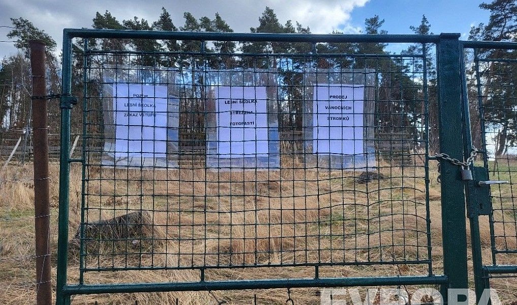 Prodej lesa 2 152 m², Břežany – náhled fotky 3
