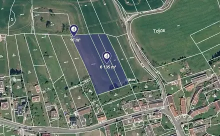 Prodej pole 12 944 m², Tojice, okres Plzeň-Jih