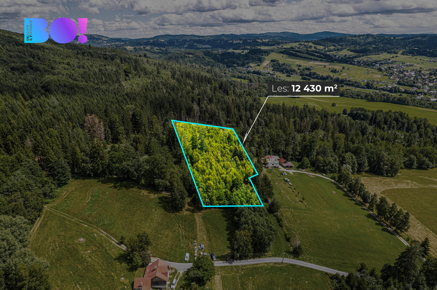 Prodej lesa 12 430 m² – fotografie 2