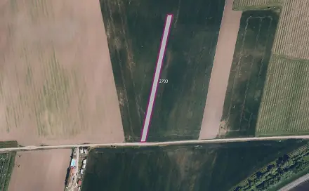 Prodej pole 4 030 m², Strachotín, okres Břeclav