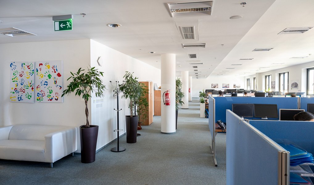 Pronájem kanceláře 1 925 m², Praha – náhled fotky 6