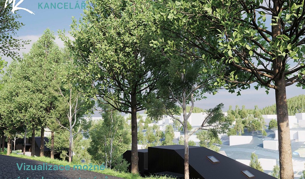 Prodej stavebního pozemku 3 323 m², Branná – náhled fotky 14