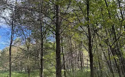 Prodej pole 1 178 m², Bohumín - Horní Bříza