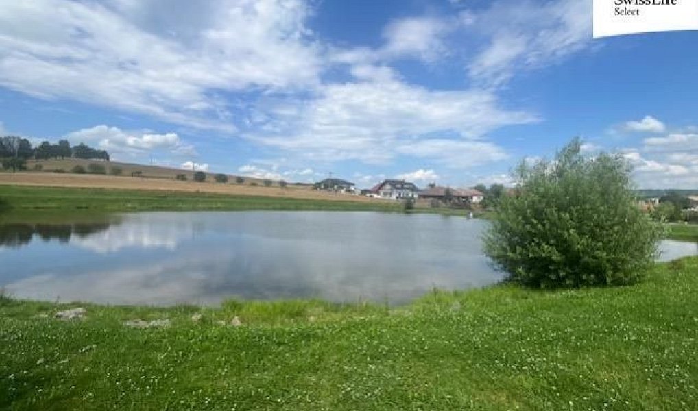 Prodej louky 360 m², Hodice – náhled fotky 7