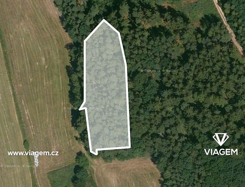 Prodej lesa 707 m² – fotografie 2