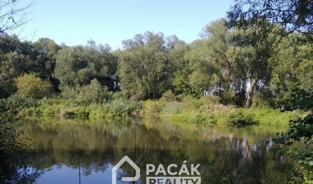 Prodej pole 15 995 m², Kožušany-Tážaly – náhled fotky 9