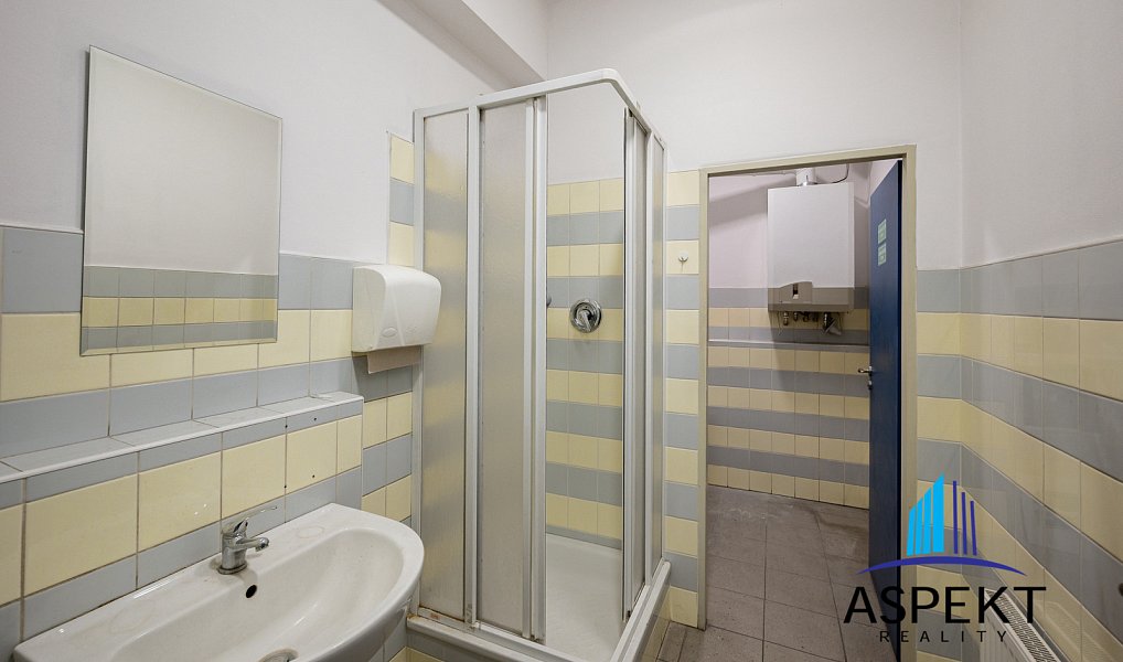 Pronájem obchodních prostor 224 m², Praha – náhled fotky 11