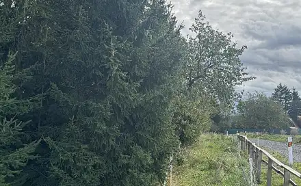 Prodej pozemku 10 821 m², Velké Svatoňovice - Druztová