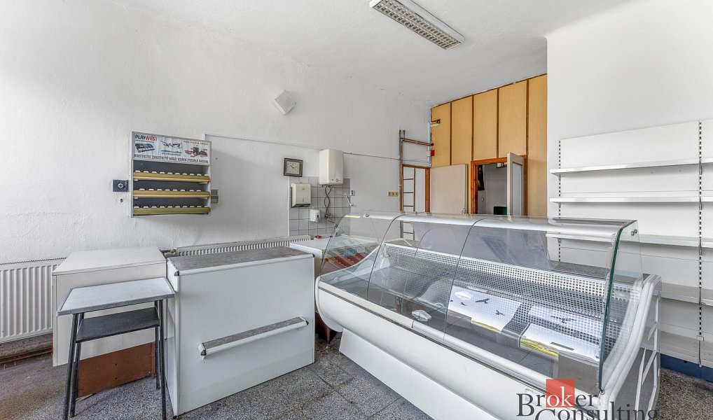 Prodej obchodních prostor 141 m², Růžená – náhled fotky 4
