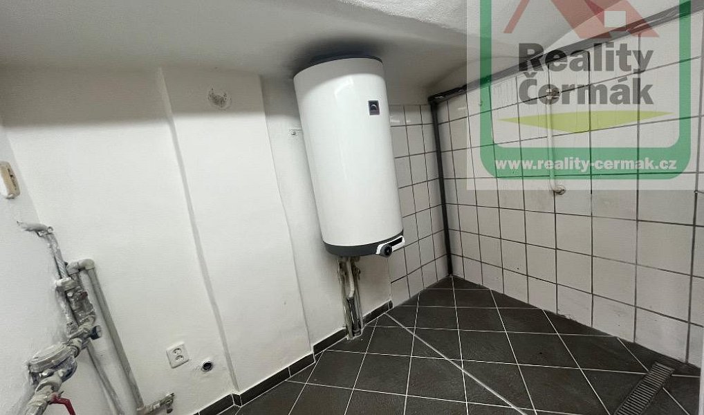 Prodej domu 220 m² s pozemkem 240 m², Mířkov – náhled fotky 11