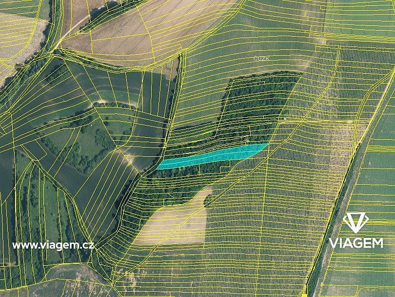 Prodej lesa 1 102 m² – fotografie 3