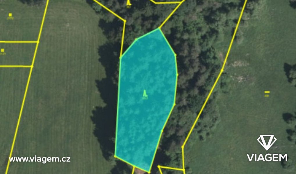 Prodej lesa 87 m², Malonty – náhled fotky 2