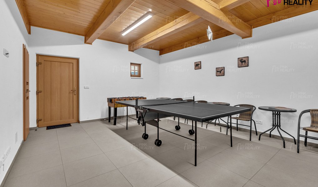 Prodej ubytovacího objektu 184 m², Orlické Záhoří – náhled fotky 6