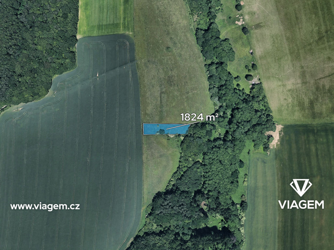 Prodej pole 1 216 m² — photo 2
