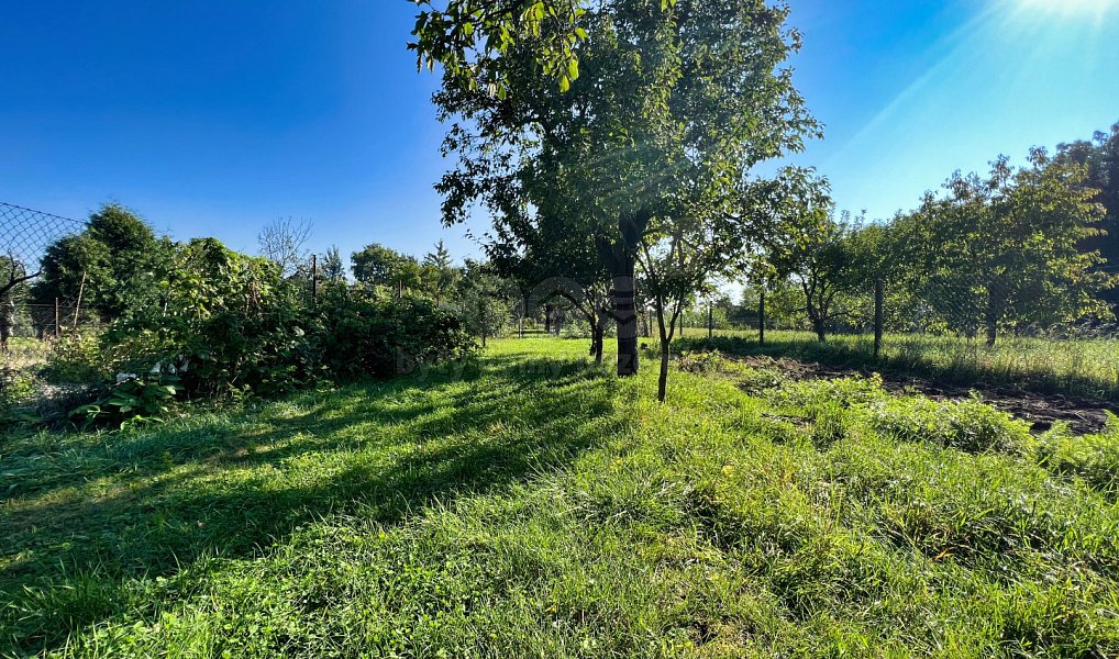 Prodej domu 250 m² s pozemkem 1 268 m², Kojetín – náhled fotky 3