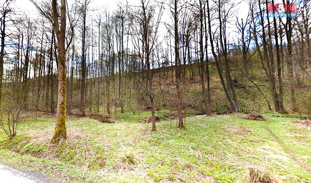 Prodej louky 2 797 m², Jeřmanice – náhled fotky 3