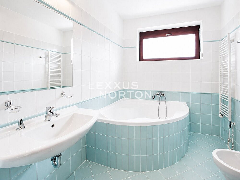 Pronájem domu 373 m² s pozemkem 857 m² – fotografie 4