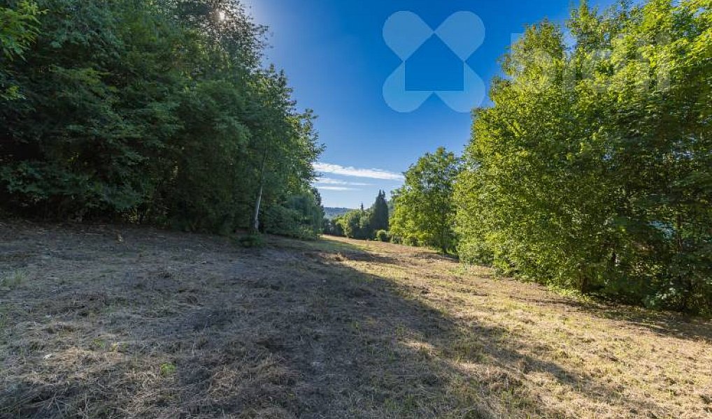Prodej stavebního pozemku 8 271 m², Hradištko – náhled fotky 18