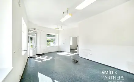 Prodej domu 540 m² s pozemkem 284 m², Havlíčkova, Zásmuky, okres Kolín