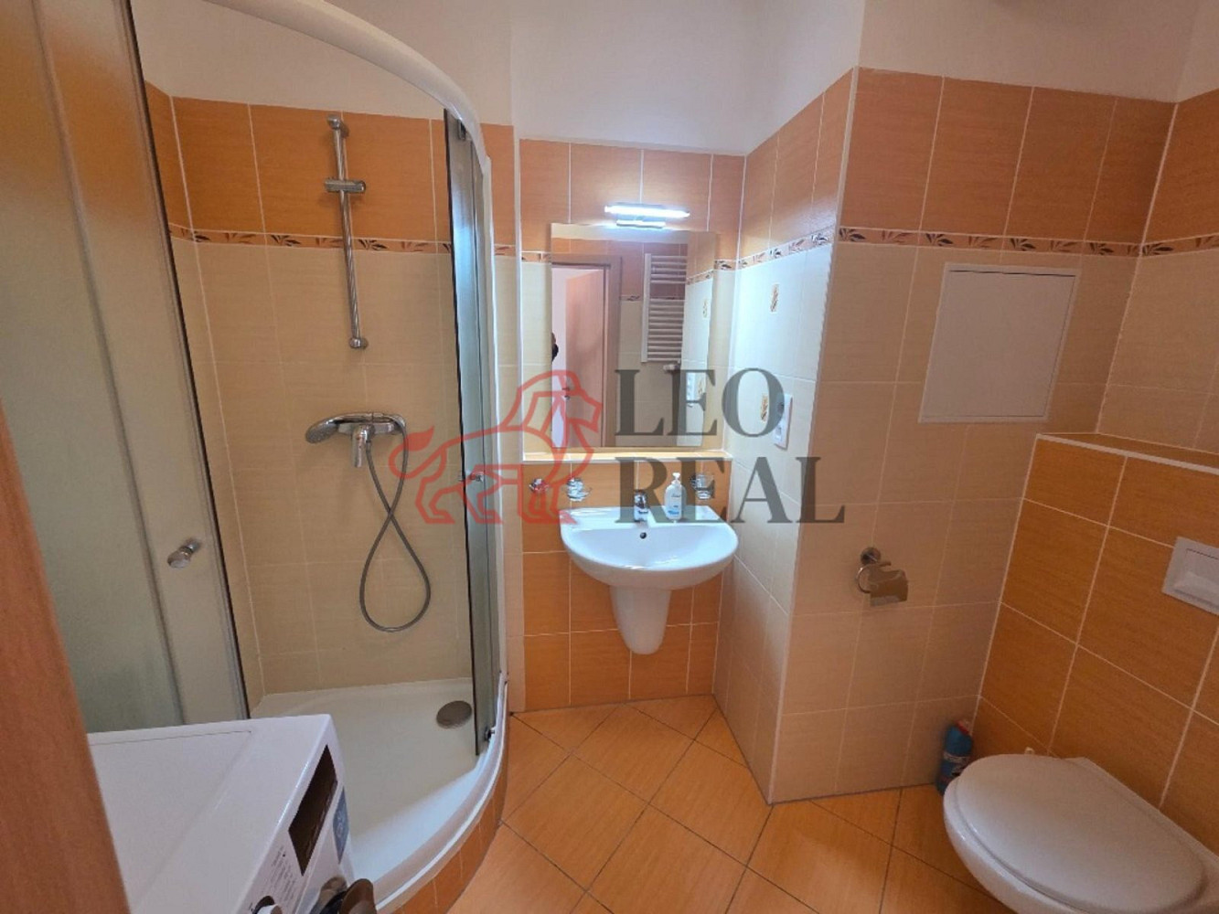 Pronájem bytu 1+kk 29 m² — photo 2