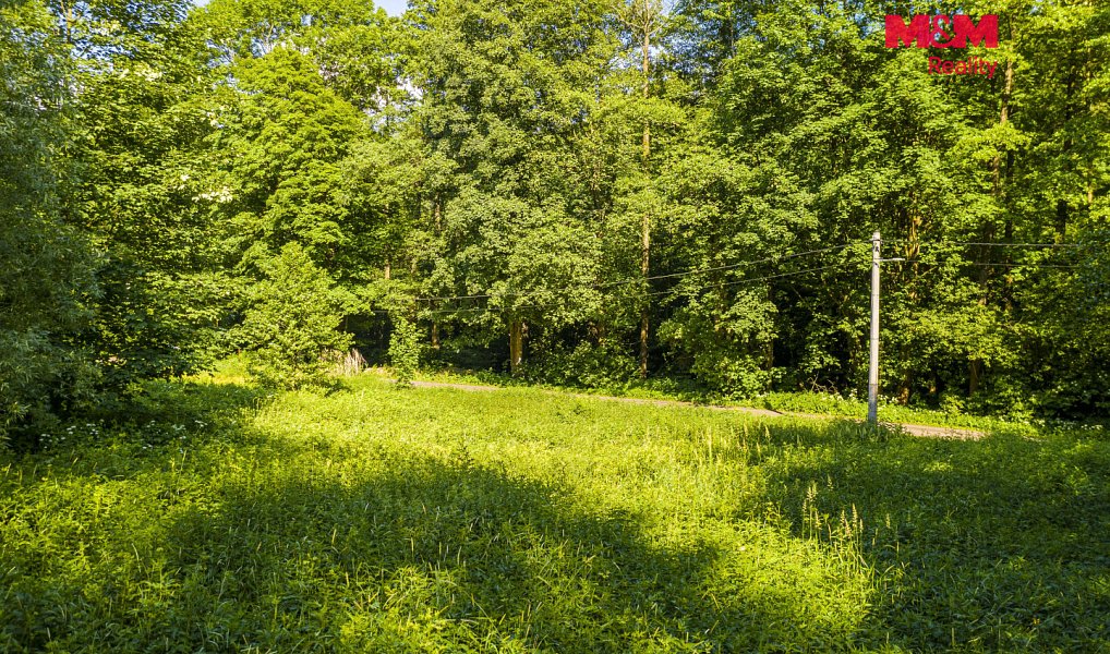 Prodej louky 646 m², Hodkovice nad Mohelkou – náhled fotky 7