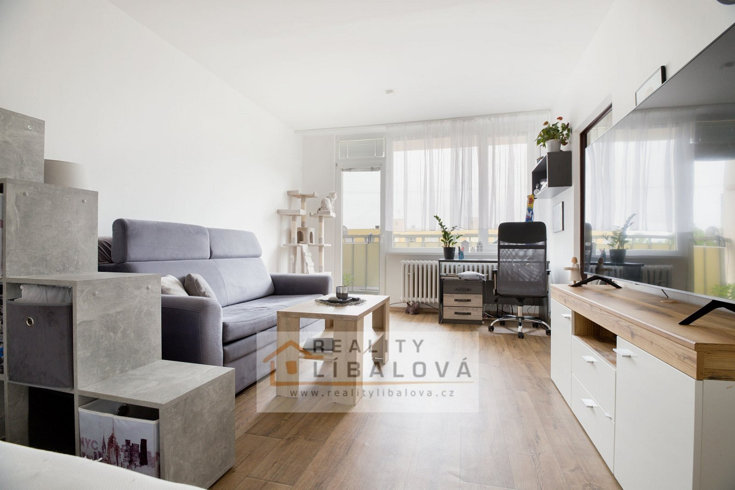 Pronájem bytu 1+1 45 m² - View 2