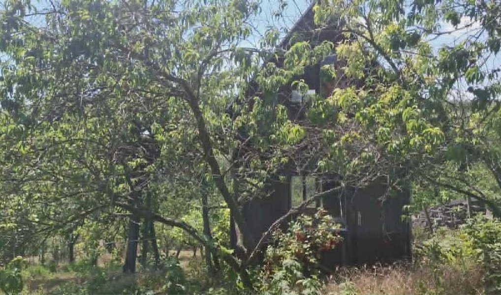 Prodej domu 350 m² s pozemkem 1 963 m², Ivaň – náhled fotky 41