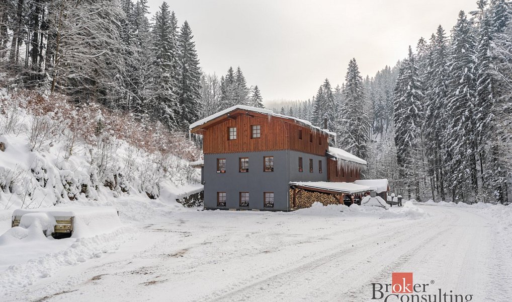 Prodej domu 650 m² s pozemkem 906 m², Strážné – náhled fotky 8
