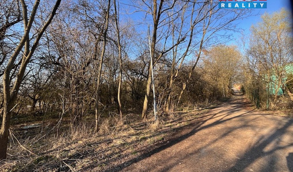 Prodej stavebního pozemku 3 136 m², Škvorec – náhled fotky 6