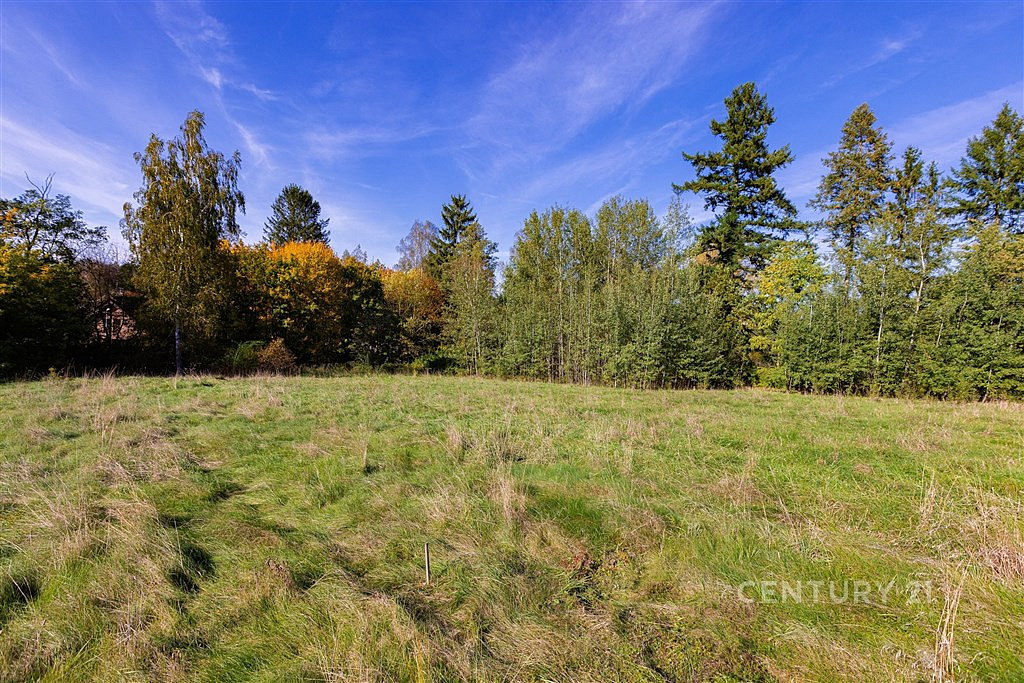 Prodej stavebního pozemku 2 511 m² – pohled 4