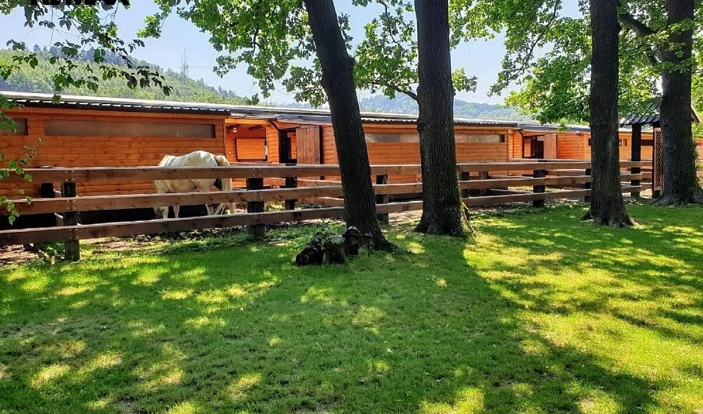 Prodej zemědělského objektu 2 400 m², Baška – náhled fotky 13