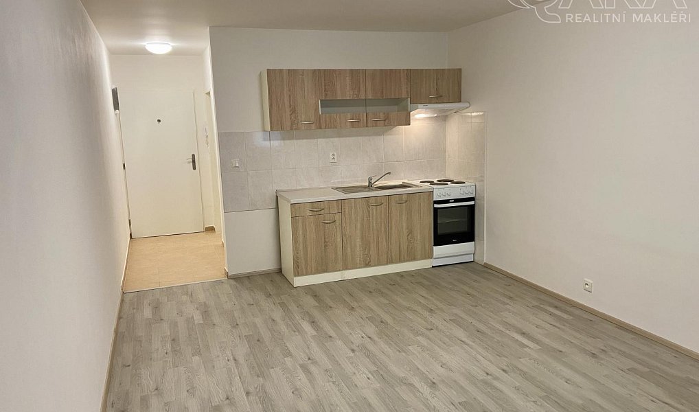 Pronájem bytu 1+kk 30 m², Ivanovice na Hané – náhled fotky 4
